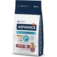 Advance Maxi + 6 Senior con pollo y arroz - 12 kg
Advance Maxi + 6 Senior con pollo y arroz - 12 kg