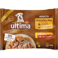 Ultima Fit & Delicious para perros adultos mini 44 x 100 g - Pollo y vacuno
Ultima Fit & Delicious para perros adultos mini 44 x 100 g - Pollo y vacuno