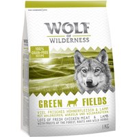 PROMO: 1 kg Wolf of Wilderness pienso para perros ¡a precio especial! - Green Fields con cordero
PROMO: 1 kg Wolf of Wilderness pienso para perros ¡a precio especial! - Green Fields con cordero