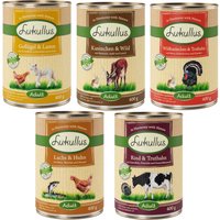 Pack ahorro: Lukullus 24 x 400 g - Variante IV
Pack ahorro: Lukullus 24 x 400 g - Variante IV