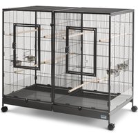 Jaula Savic Tasmania 120 para pájaros - 120 x 65 x 107 cm (L x An x Al)
Jaula Savic Tasmania 120 para pájaros - 120 x 65 x 107 cm (L x An x Al)