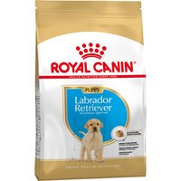 Royal Canin Labrador Retriever Puppy / Junior - Pack % - 2 x 12 kg
Royal Canin Labrador Retriever Puppy / Junior - Pack % - 2 x 12 kg