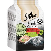 Sheba Fresh Cuisine Taste of Rome comida húmeda para gatos - Pack % 36 x 50 g - Pollo y pavo
Sheba Fresh Cuisine Taste of Rome comida húmeda para gatos - Pack % 36 x 50 g - Pollo y pavo