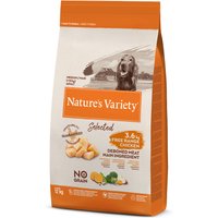 Nature's Variety Selected Medium Adult pollo campero - 12 kg 
Nature's Variety Selected Medium Adult pollo campero - 12 kg
