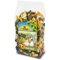 JR Farm Ensalada y frutas - 500 g
JR Farm Ensalada y frutas - 500 g