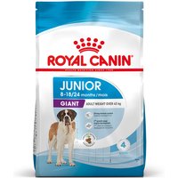 Royal Canin Giant Junior - Pack % - 2 x 15 kg
Royal Canin Giant Junior - Pack % - 2 x 15 kg