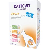 Kattovit Urinary (profilaxis piedras de estruvita) - 12 x 85 g Pack mixto: pollo, pavo, ternera y salmón
Kattovit Urinary (profilaxis piedras de estruvita) - 12 x 85 g Pack mixto: pollo, pavo, ternera y salmón