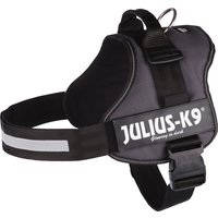 Arnés JULIUS-K9® Power antracita para perros - Talla 3
Arnés JULIUS-K9® Power antracita para perros - Talla 3