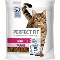 Perfect Fit Adult 1+ rico en salmón - 1,4 kg
Perfect Fit Adult 1+ rico en salmón - 1,4 kg