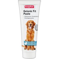 beaphar Gelenk Fit en pasta para la salud articular para perros - Pack % - 2 x 250 g
beaphar Gelenk Fit en pasta para la salud articular para perros - Pack % - 2 x 250 g