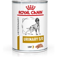 Royal Canin Veterinary Canine Urinary S/O Mousse - 12 x 410 g 
Royal Canin Veterinary Canine Urinary S/O Mousse - 12 x 410 g