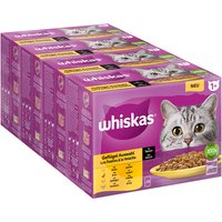 Megapack Whiskas 1+ años 48 x 85 g en bolsitas - Selección de aves en salsa (48 x 85 g)
Megapack Whiskas 1+ años 48 x 85 g en bolsitas - Selección de aves en salsa (48 x 85 g)