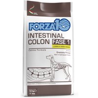 Forza 10 Colon Intestinal Fase 1 con cordero - Pack % - 2 x 10 kg 
Forza 10 Colon Intestinal Fase 1 con cordero - Pack % - 2 x 10 kg