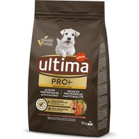 Ultima Dog Mini PRO+ Salmón - 2 x 1,1 kg
Ultima Dog Mini PRO+ Salmón - 2 x 1,1 kg