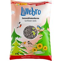Lillebro pipas de girasol - 5 kg
Lillebro pipas de girasol - 5 kg