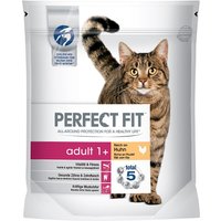 Perfect Fit Adult 1+ rico en pollo - 7 kg
Perfect Fit Adult 1+ rico en pollo - 7 kg