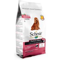 Schesir Medium Maintenance con jamón pienso para perros - Pack % - 2 x 12 kg
Schesir Medium Maintenance con jamón pienso para perros - Pack % - 2 x 12 kg