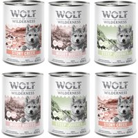 Wolf of Wilderness Expedition Junior 6 x 400 g - Pack mixto
Wolf of Wilderness Expedition Junior 6 x 400 g - Pack mixto