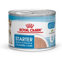 Royal Canin Starter Mousse - Pack % - 48 x 195 g
Royal Canin Starter Mousse - Pack % - 48 x 195 g