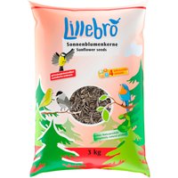 Lillebro pipas de girasol peladas - 3 kg
Lillebro pipas de girasol peladas - 3 kg