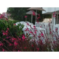 Hamburg - Izmir, Türkei - Cicek Apart Hotel.