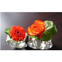 Düsseldorf - Lourdes - Hôtel Majestic.