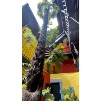 Düsseldorf - Locarno - Residenza Motta.