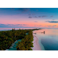 Dresden - Herathera - Canareef Resort Maldives.