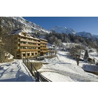 Frankfurt - Grindelwald - Hotel Alpenrose Wengen - a family affa.