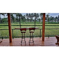 Düsseldorf - Tetebatu - Les Rizieres Lombok.