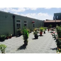 Frankfurt - Colchester - Star Anglia Hotel City Center by OYO.