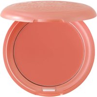 Цветной гибрид губной помады и румян Stila Cosmetics Convertible Color 0,15 унции. - Gerbera
Цветной гибрид губной помады и румян Stila Cosmetics Convertible Color 0,15 унции. - Gerbera
