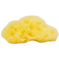Натуральная морская губка Natural Sea Sponge Company - Fina Silk Sea Sponge (прибл. 7,6 см)
Натуральная морская губка Natural Sea Sponge Company - Fina Silk Sea Sponge (прибл. 7,6 см)