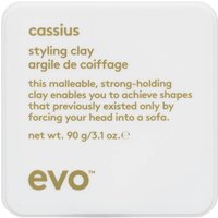 evo Cassius Styling Clay 90g
evo Cassius Styling Clay 90g