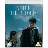 After the Storm
After the Storm
