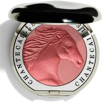 Румяна Chantecaille Cheek Shade (различные оттенки) - Joy
Румяна Chantecaille Cheek Shade (различные оттенки) - Joy