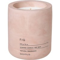 Blomus Fraga Scented Candle - Fig
Blomus Fraga Scented Candle - Fig