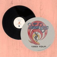 Beach Boys Slip Mat, Multi
Beach Boys Slip Mat, Multi