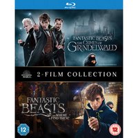 Fantastic Beasts: 2 Film Collection
Fantastic Beasts: 2 Film Collection