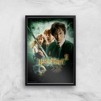 Harry Potter and the Chamber Of Secrets Giclee Art Print - A4 - Black Frame, Multi
Harry Potter and the Chamber Of Secrets Giclee Art Print - A4 - Black Frame, Multi
