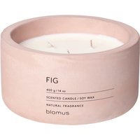 Blomus Fraga Scented 3 Wick Candle - Fig
Blomus Fraga Scented 3 Wick Candle - Fig