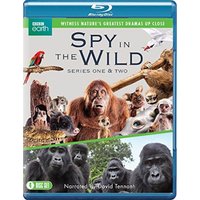 Spy in the Wild: Series 1-2
Spy in the Wild: Series 1-2
