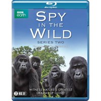 Spy in the Wild: Series 2
Spy in the Wild: Series 2