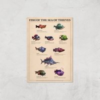 Fish Of The Sea Of Thieves Giclee Art Print - A4 - Print Only, Multi
Fish Of The Sea Of Thieves Giclee Art Print - A4 - Print Only, Multi