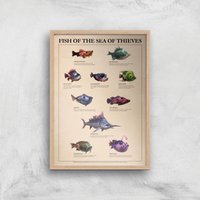 Fish Of The Sea Of Thieves Giclee Art Print - A4 - Wooden Frame, Multi
Fish Of The Sea Of Thieves Giclee Art Print - A4 - Wooden Frame, Multi