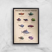Fish Of The Sea Of Thieves Giclee Art Print - A4 - Black Frame, Multi
Fish Of The Sea Of Thieves Giclee Art Print - A4 - Black Frame, Multi