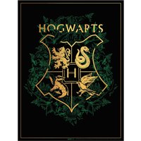 Harry Potter Foil Screenprint 
Harry Potter Foil Screenprint