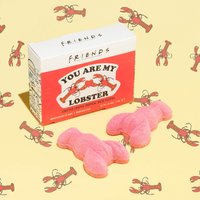 Friends You Are My Lobster Bath Fizzers
Friends You Are My Lobster Bath Fizzers