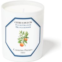 Carrière Frères Scented Candle Orange Blossom - Citrus Dulcis - 185 g
Carrière Frères Scented Candle Orange Blossom - Citrus Dulcis - 185 g