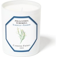 Carrière Frères Scented Candle Tuberose - Polientes Tuberosa - 185 g
Carrière Frères Scented Candle Tuberose - Polientes Tuberosa - 185 g